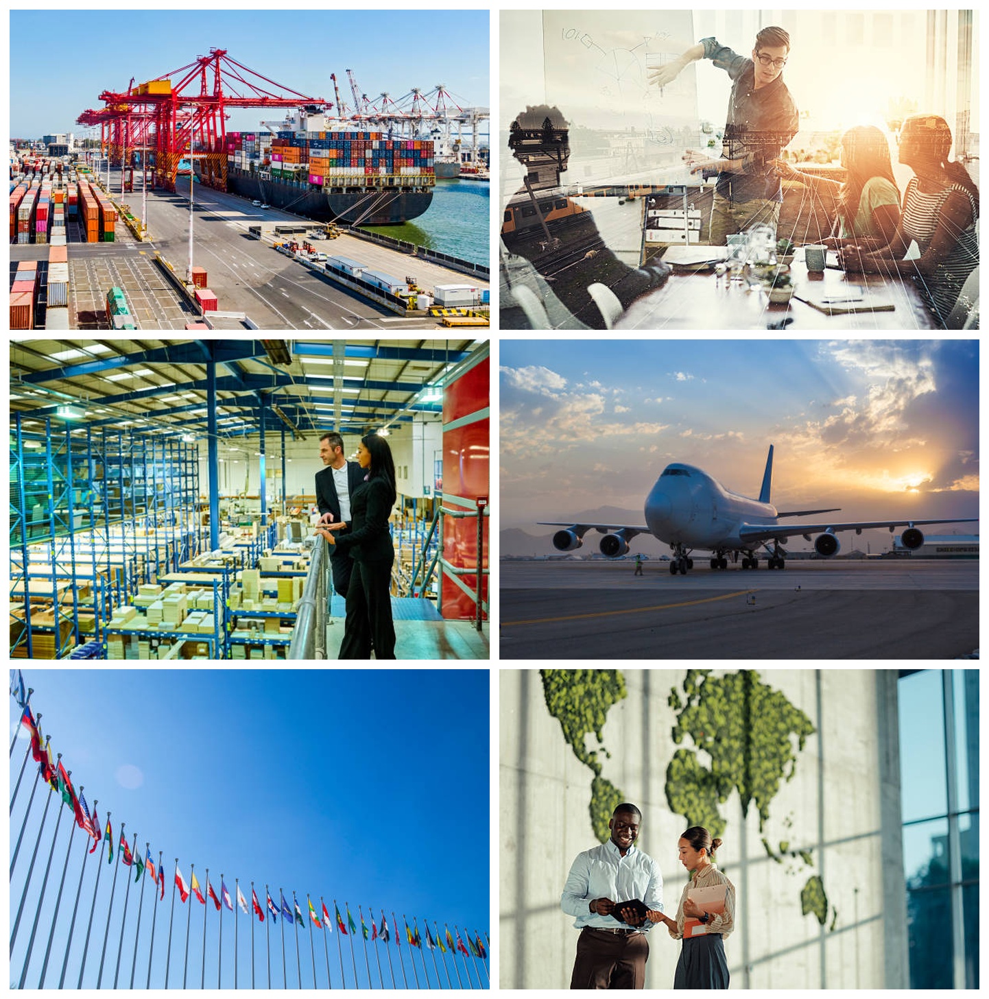 Holdwise — ondernemers in actie