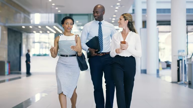 Management BV: When Do You Need One and How Does It Work?