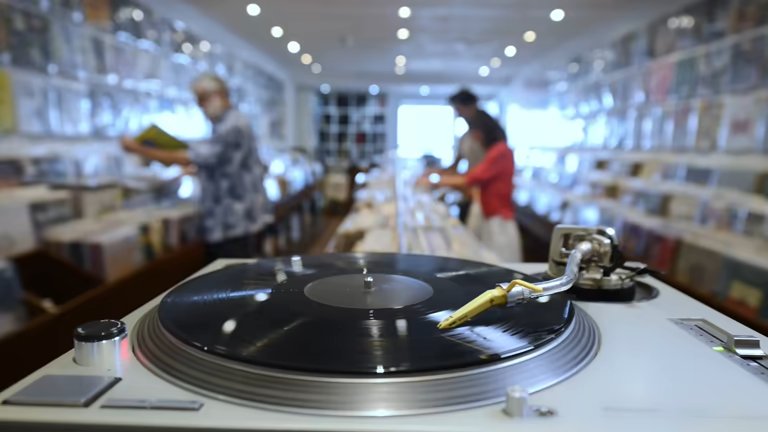 DGA Salary via Holding: How Does the Management Fee Work?